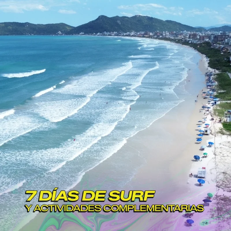 feed_surftrip_4