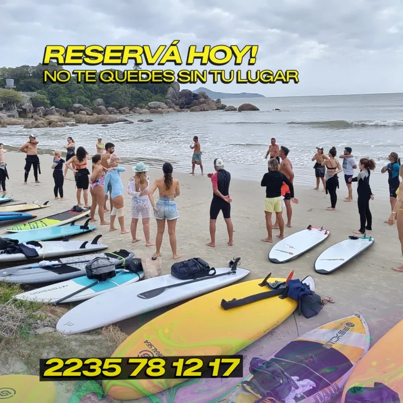 feed_surftrip_7